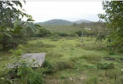 Imagem Terreno em Ponta Grossa
