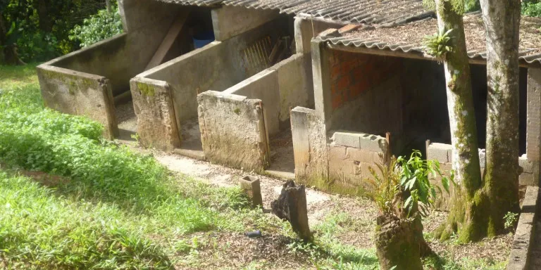 Imagem Chácara com 6 Quartos à Venda, 41.000 m² em Centro - Santa Isabel
