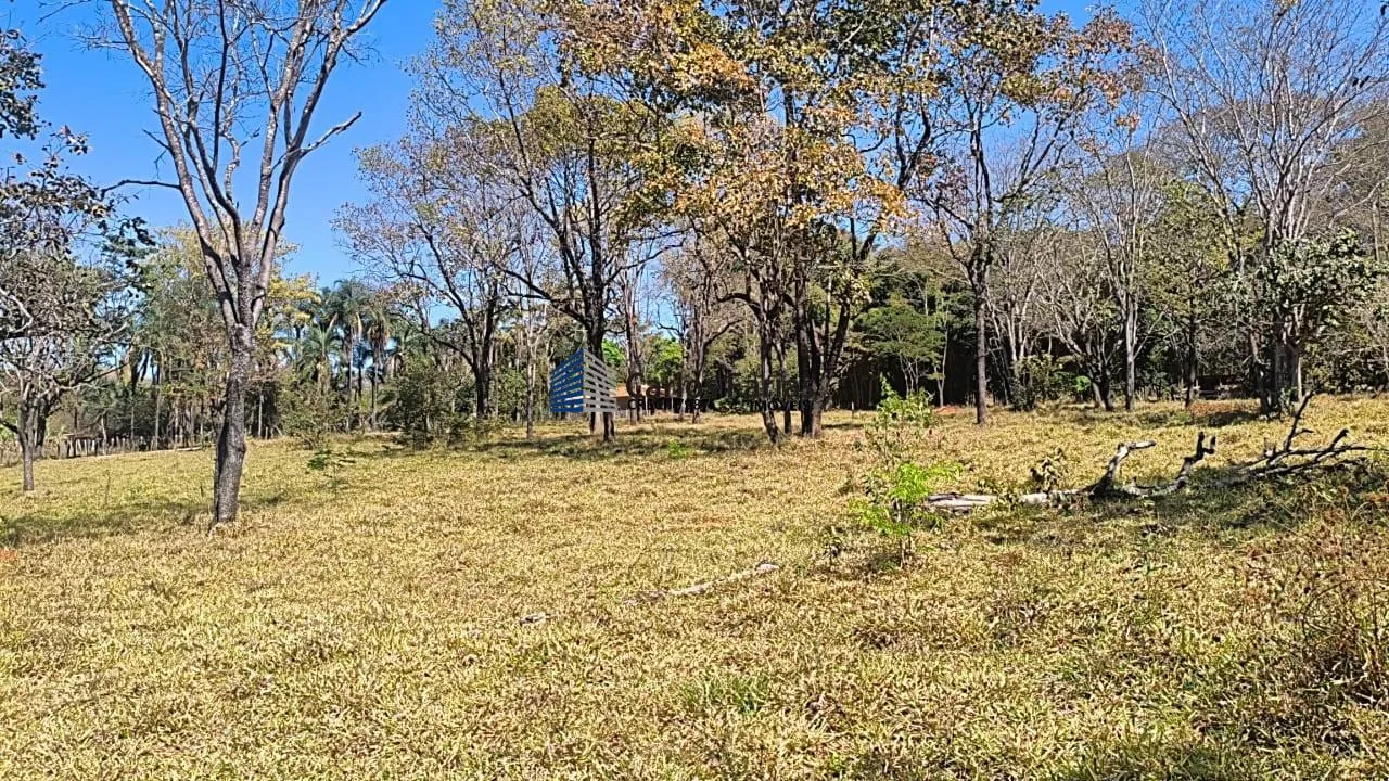 Imagem Chácara para Venda em Brasília, Setor Habitacional Jardim Botânico