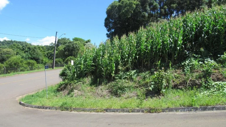 Foto do imóvel Terreno para Venda em Concórdia, Primavera em Sc-283 Rodovia Caetano Chiuchetta