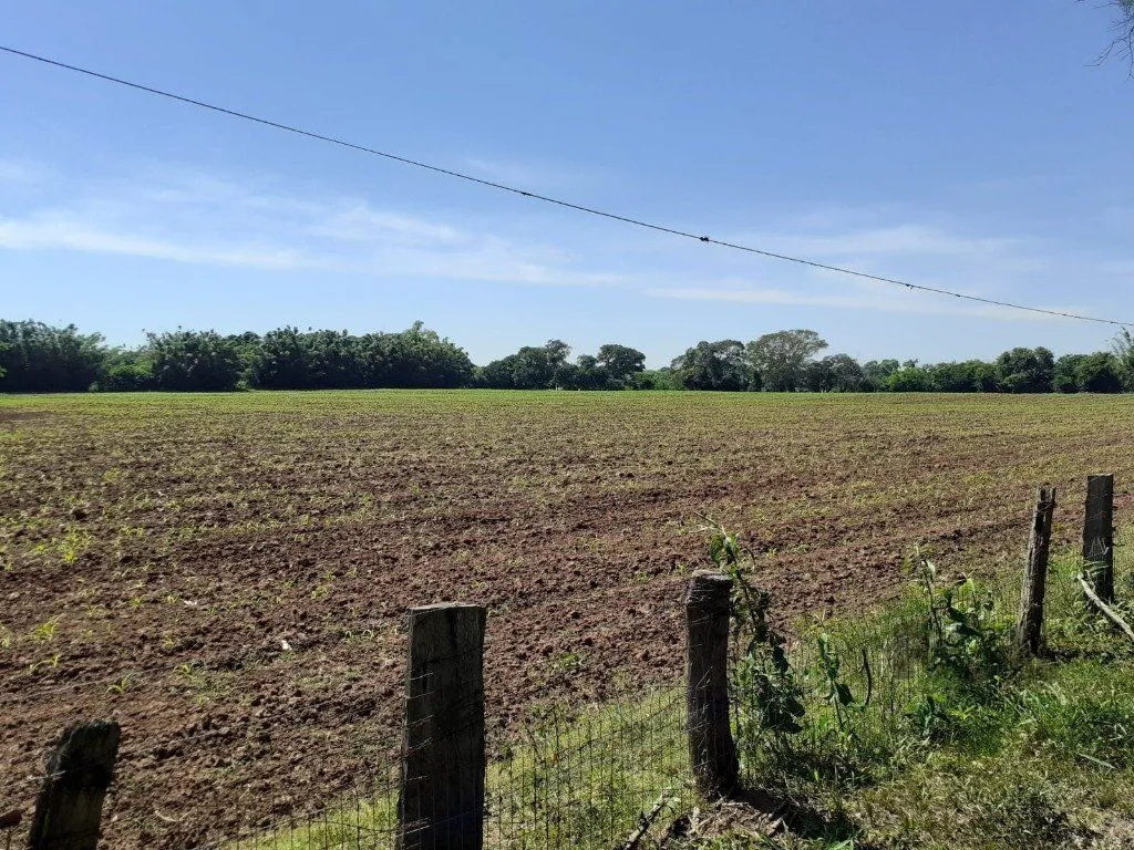 Imagem SÍTIO - 8 ha 2.980 m² de extensão - 5 dormitórios - 2 vagas - TRIUNFO-RS