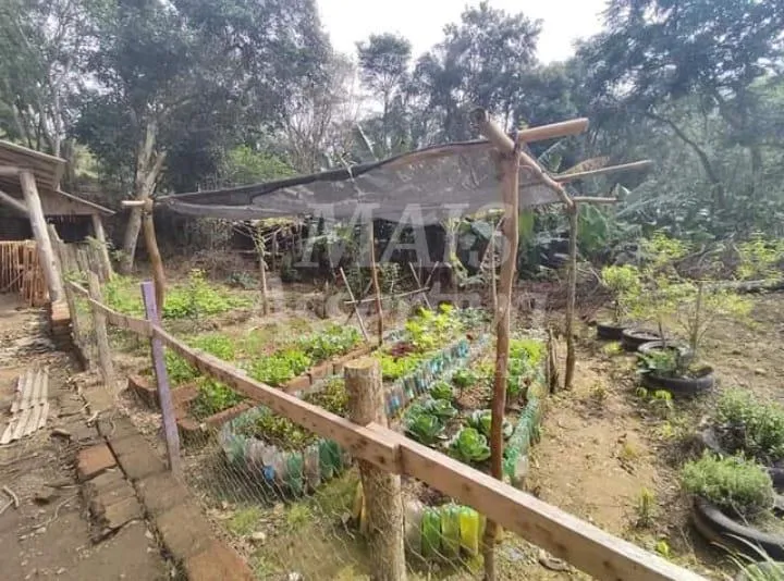 Imagem Sítio para venda em Nova Hartz Bairro Progresso