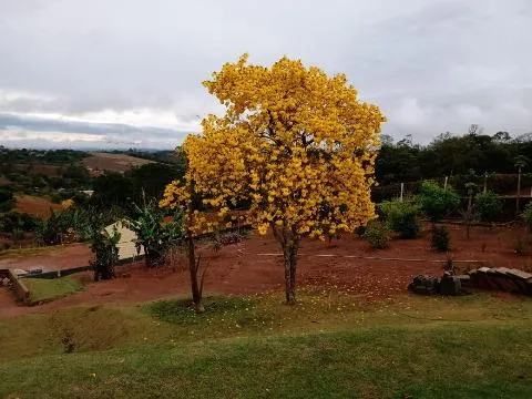 Imagem VENDA DE CASA EM SANTA ISABEL/SP, terreno de 3.120m² e 360m² A/C com 3 suítes, 3 salas, cozinha, quintal com pomar, piscina e 2 vagas. CONSULTE-NOS.