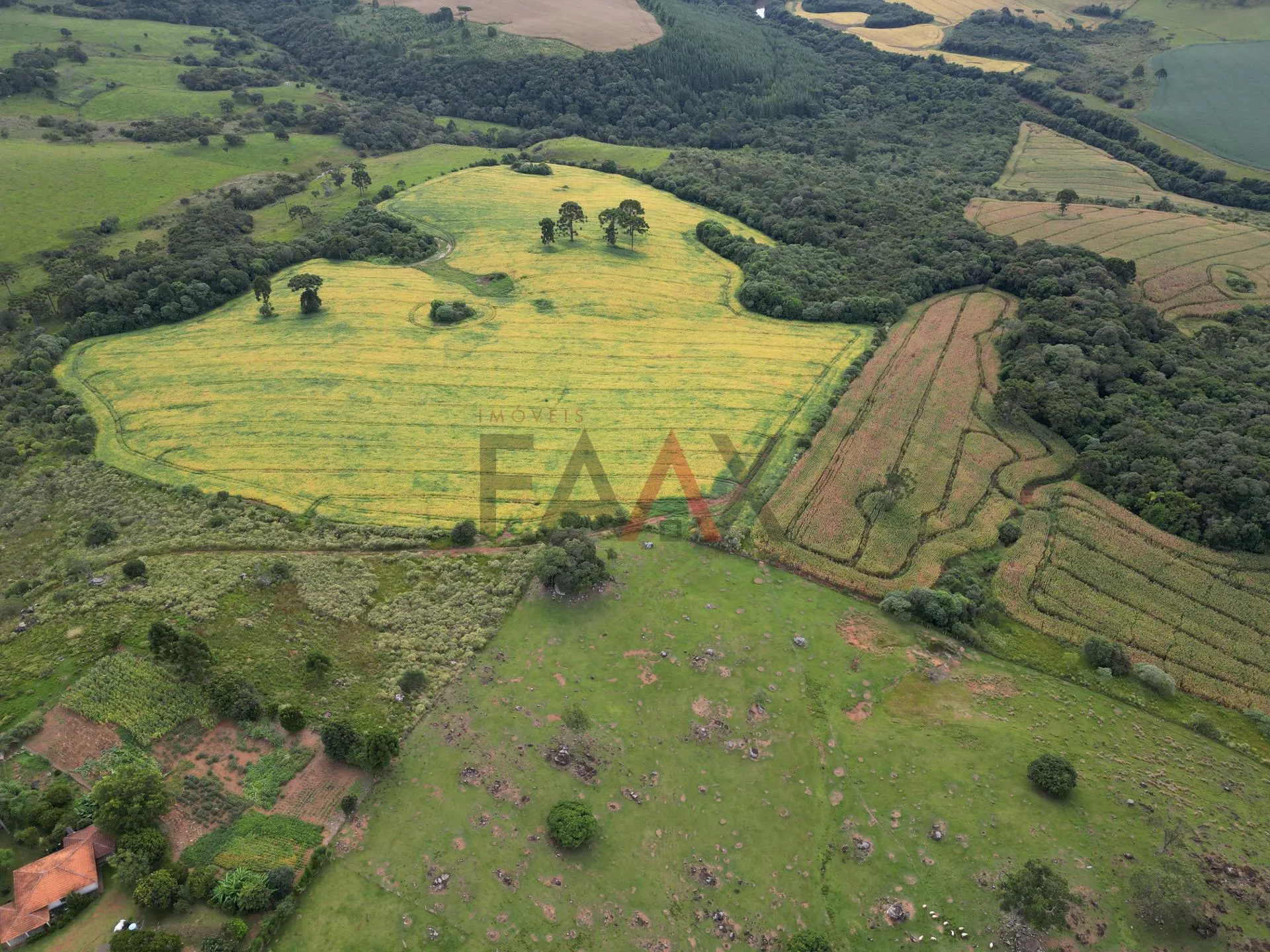 Imagem Chácara com 1.210.000,00m as margens da BR-277 em GUARAPUAVA - PR