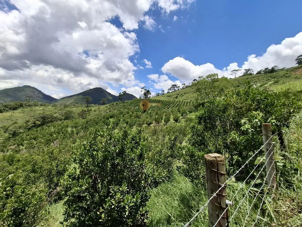 Foto do imóvel Sítio para Venda em Teresópolis / RJ em Estrada Santa Rita