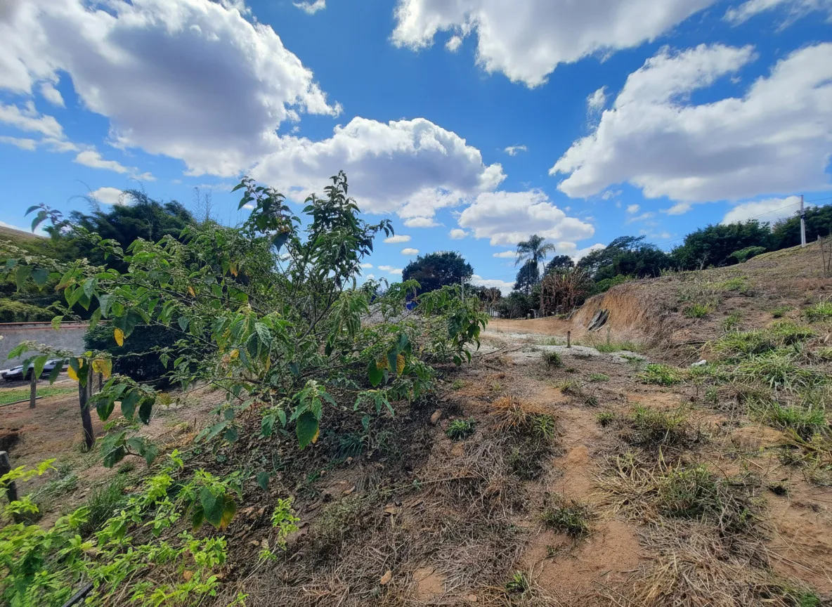 Imagem Terreno à venda em Pinheiros, Bandeira do Sul