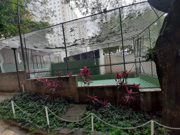 Imagem Apartamento com 3 Quartos à Venda, 58 m² em Parque Munhoz - São Paulo