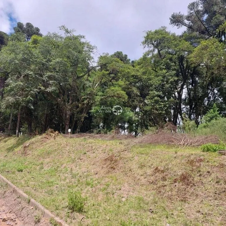 Imagem Terreno à venda no bairro São Luís em Canela - Lote 37 / Área de 553,55m2
