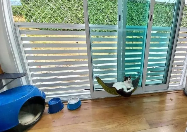 Imagem Apartamento para Venda em Petrópolis / RJ no bairro Coronel Veiga