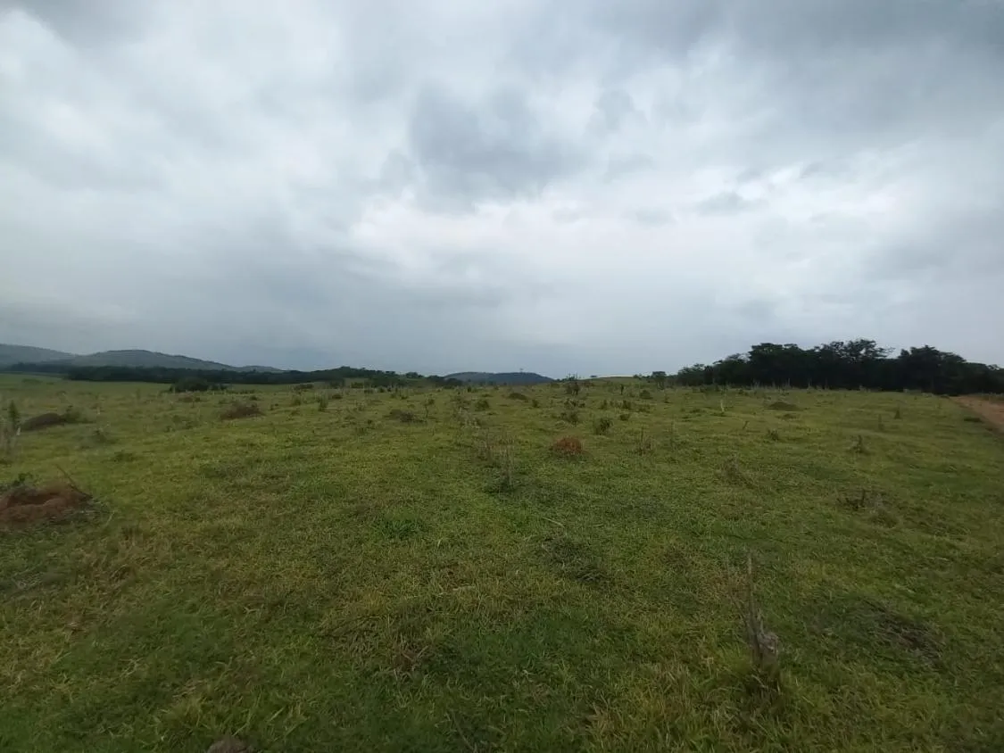 Imagem FAZENDA DE ALTO PADRÃO À VENDA - SUL DE MINAS 1.488 hectares de área total