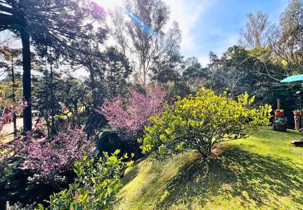 Imagem Descansópolis: A Leveza de uma Casa Térrea e Sustentável