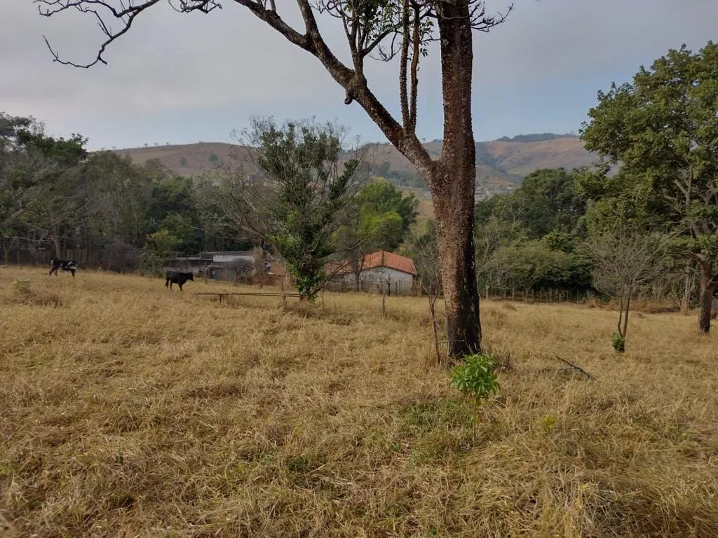 Imagem Chácara à venda 20832.5M², Barreiro, Taubaté - SP