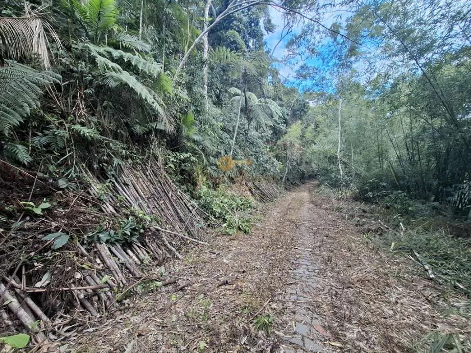 Imagem Terreno para Venda em Teresópolis / RJ no bairro Albuquerque