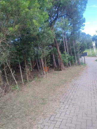 Imagem Terreno à venda, 20000 m² por R$ 1.490.000 - Pinheirinho - Atibaia/SP