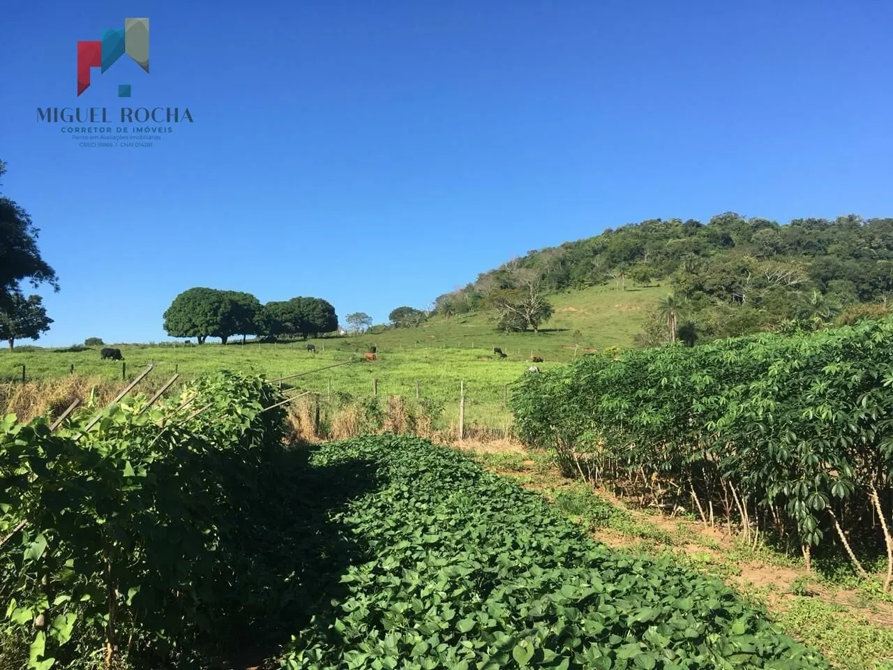 Imagem Fazenda em São Carlos SP