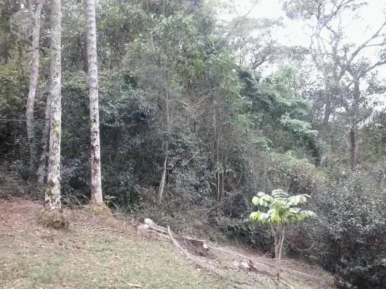 Imagem Chácara à venda 4 Quartos, 2 Suites, 52000M², Zona Rural, Santo Antônio do Pinhal - SP
