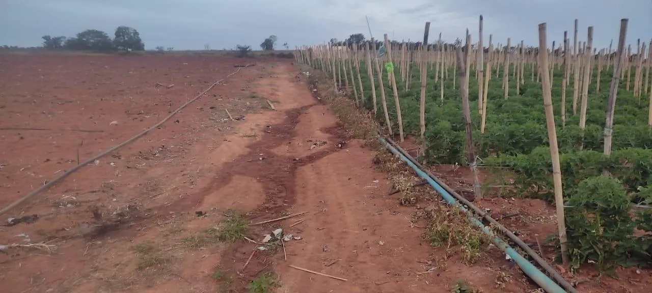 Imagem FAZENDA À VENDA - CRUCILÂNDIA (MG) 120 hectares de área total
