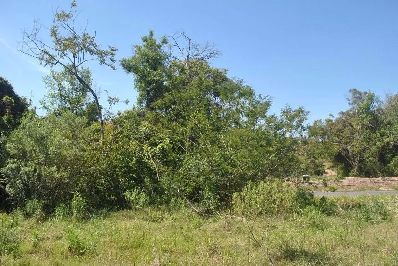 Imagem Terreno para Venda com 930m² no bairro Espírito Santo