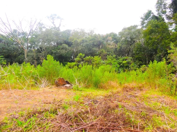 Imagem Terreno à venda em Garopaba-SC, bairro Macacu, 46.578,61m², com vista para Lagoa e Mar!