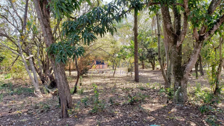 Imagem Terreno Padrão