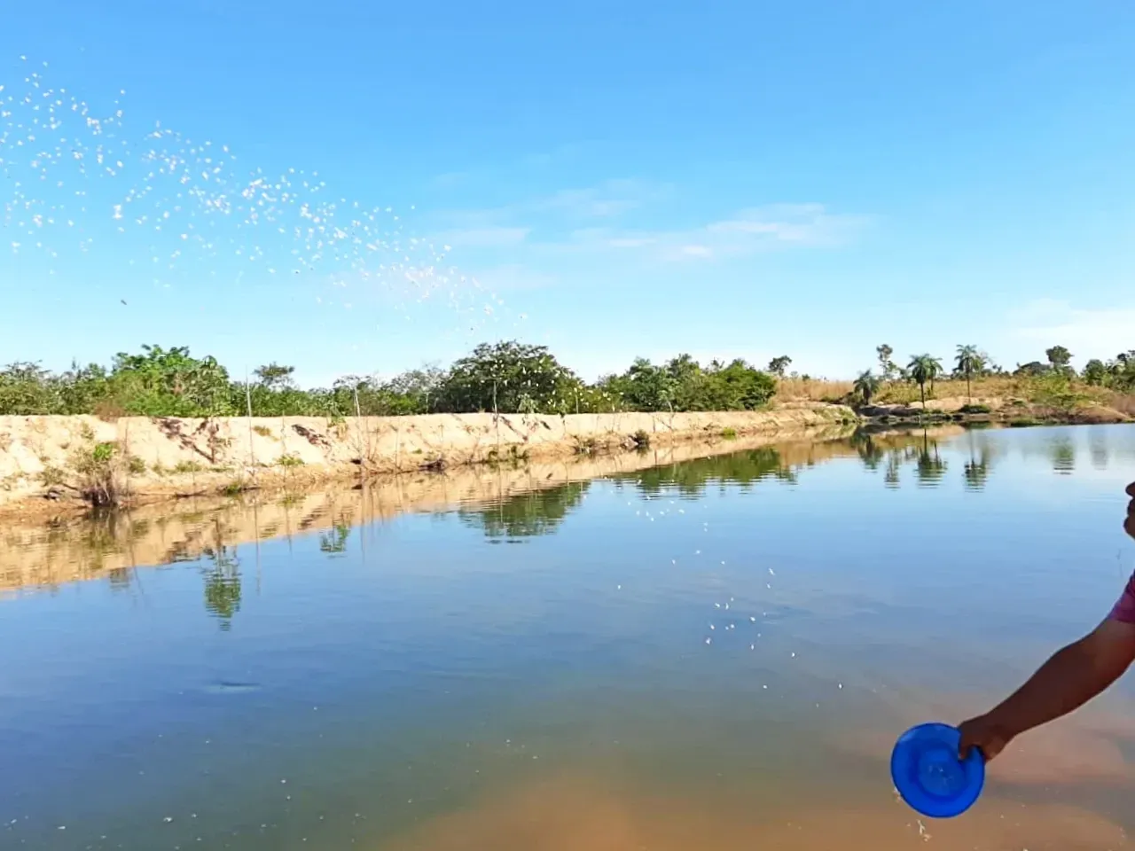 Imagem Fazenda à Venda, 600 HA em Floresta do Araguaia - Floresta do Araguaia