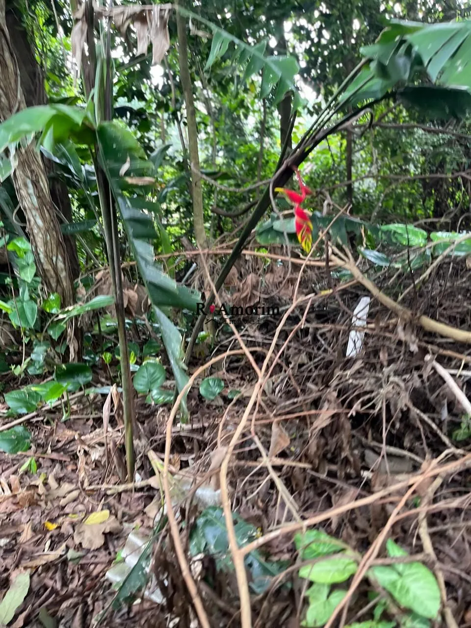 Imagem São Fernando Residência - Terreno a venda no Condominio São Fernando Residência em Barueri/SP com 787 metros