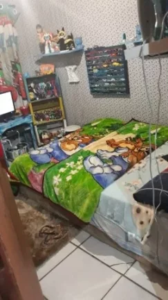 Imagem Sitio com Duas casas, piscina e Açude, Águas Claras/ Viamão