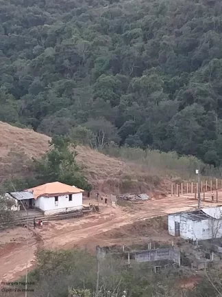 Imagem SITIO RURAL em BANDEIRA DO SUL - MG, Sitio Capituvas