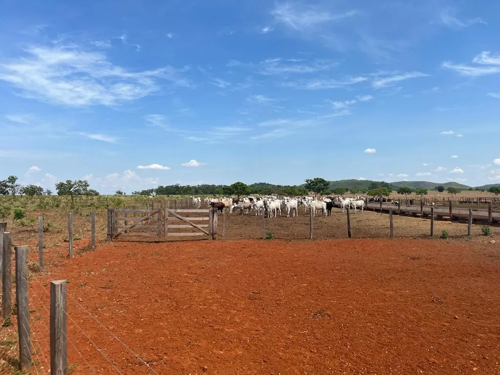 Imagem FAZENDA À VENDA - REGIÃO DE UNAÍ (MG) 1.400 hectares de terra