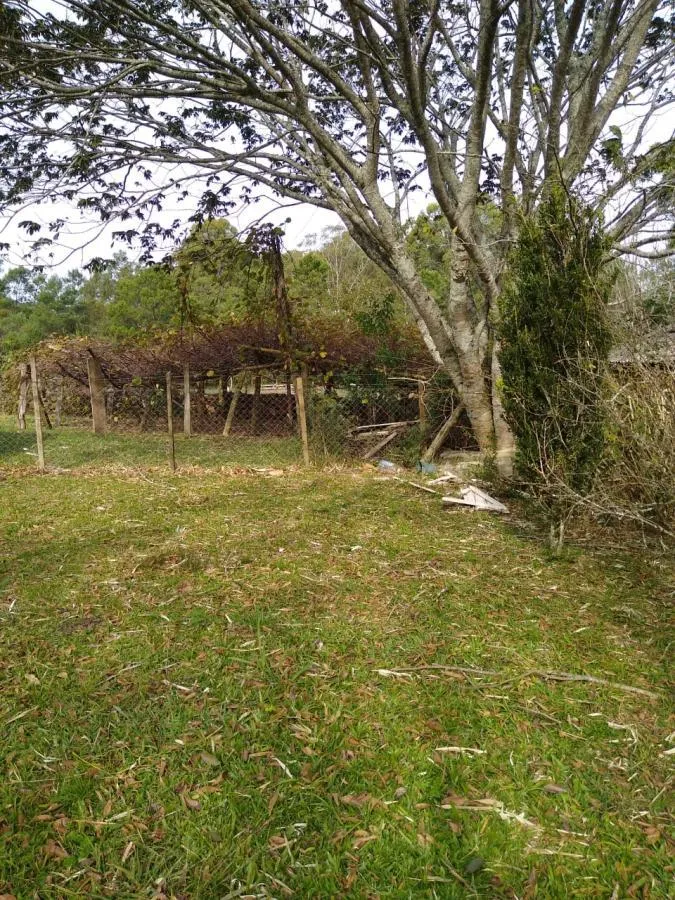 Imagem Chácara para Venda em Gramado / RS no bairro Várzea Grande Linha Carara