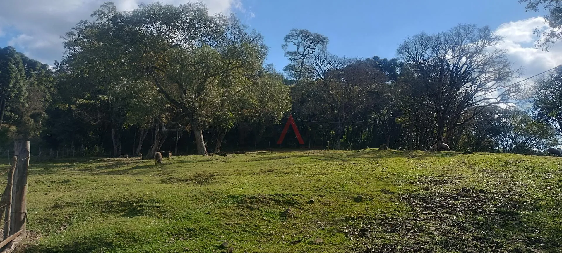 Imagem Chácara à venda com 12,5884 hectares, PALMEIRINHA, GUARAPUAVA - PR