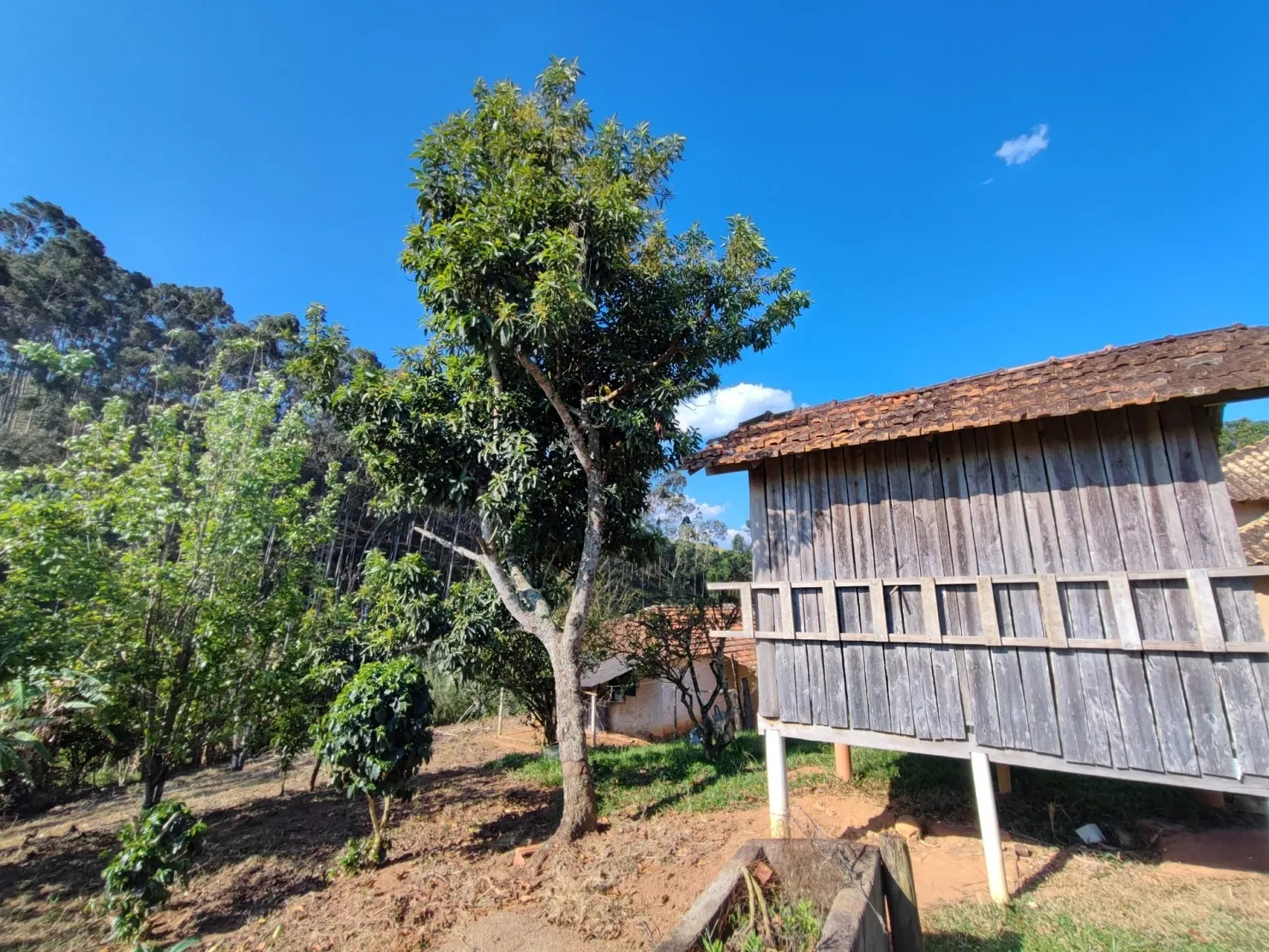 Foto do imóvel Chácara à venda 3 Quartos, 1 Suite, 181500M², Centro, Cunha - SP