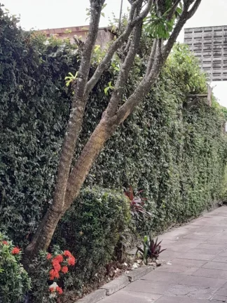 Imagem Apartamento para Venda em Recife, Bongi, 3 dormitórios, 1 suíte, 2 banheiros, 1 vaga