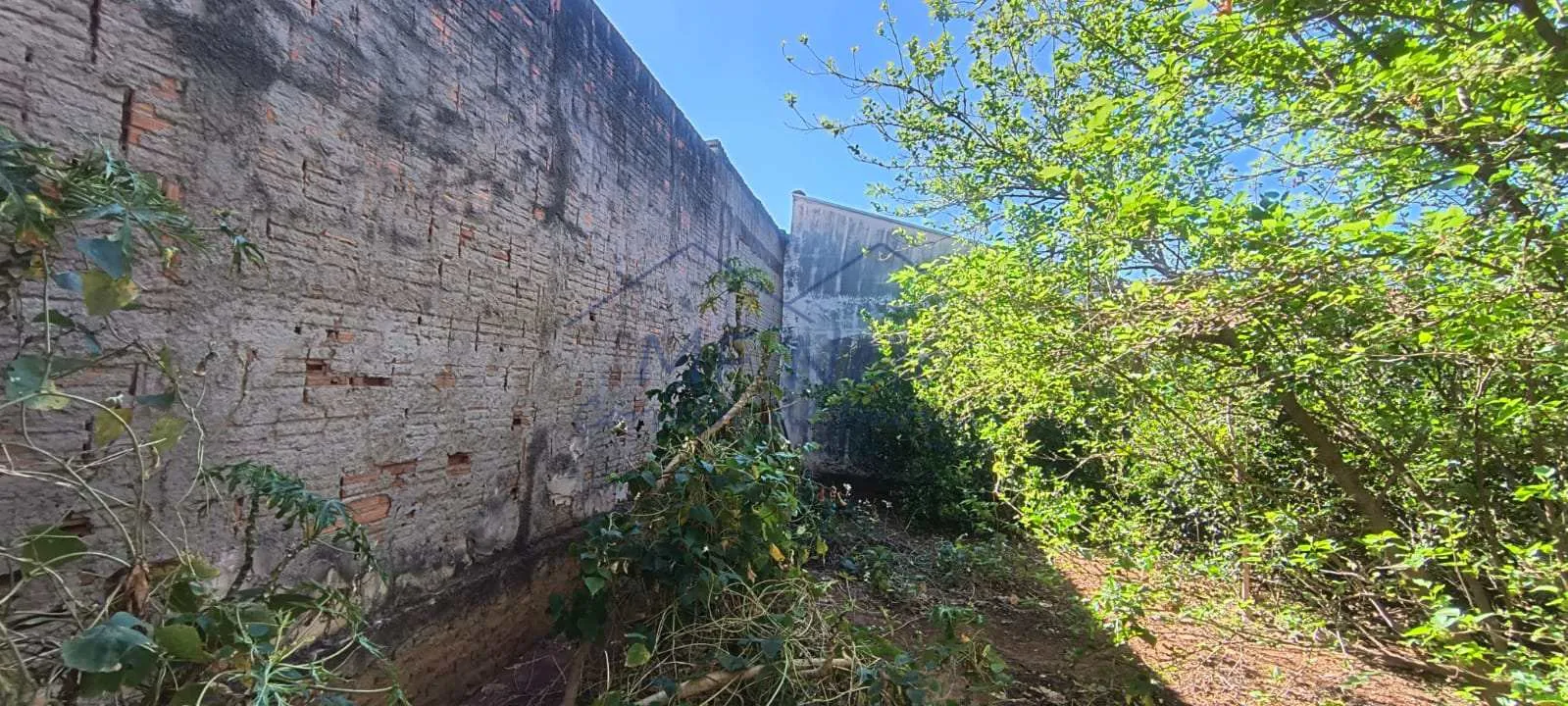 Imagem Terreno Padrão
