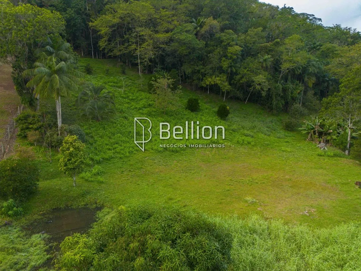Imagem Investimento com alto potencial de valorização ou o lugar ideal para construir o seu refúgio em meio à natureza, este terreno é para você.