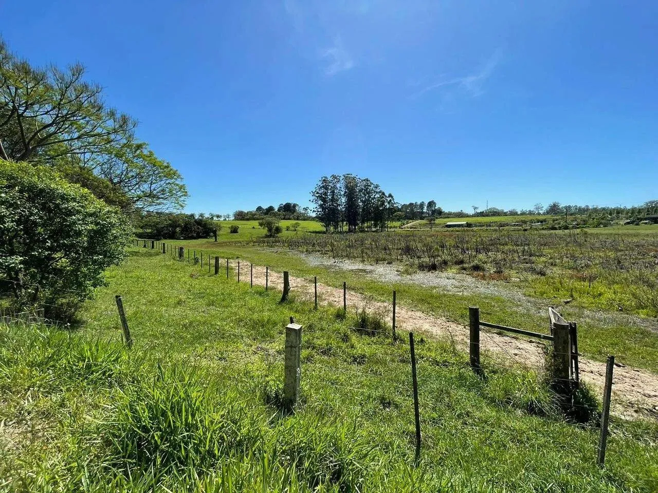 Imagem 90 Hectares de frente para o asfalto em Viamão