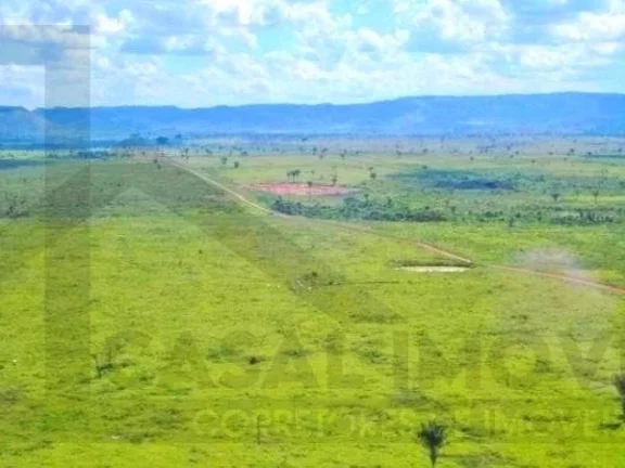 Imagem CASAL IMÓVEIS VENDE MEGA FAZENDA COM 40.000 HECTARES - DUPLA APTIDÃO - SANTANA DO ARAGUAIA PARÁ