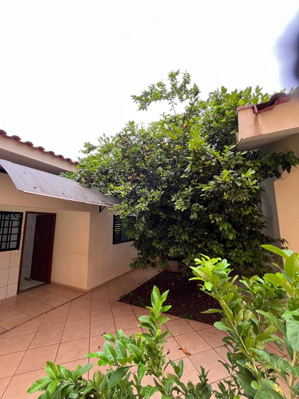 Imagem Casa 245m Umuarama-PR 350