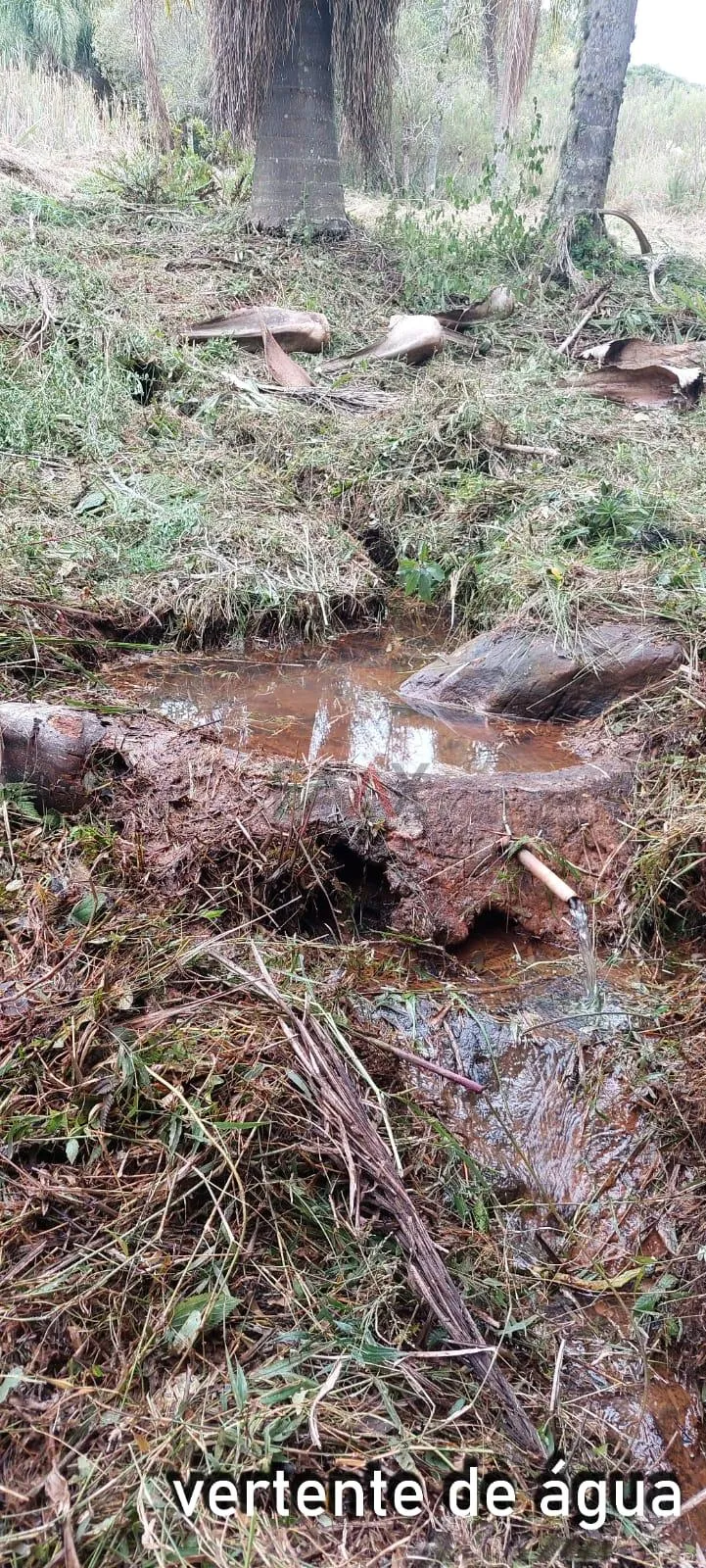 Imagem Chácara com 2 dormitórios à venda,60500.00 m , Guabiroba, GUARAPUAVA - PR