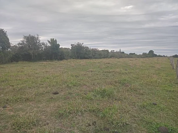Imagem EXCELENTE LOGÍSTICA!!! Sitio de 2 Hectares com Casa, Boa Vista, Viamão