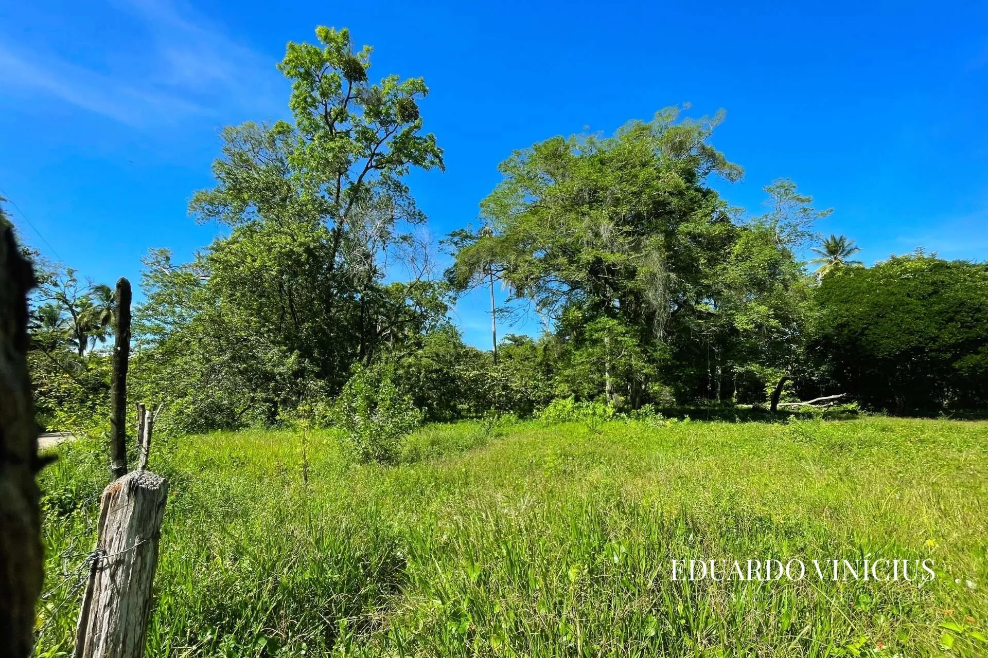 Imagem Terreno 4.020 m² à Venda na Praia do Encanto em Morro de São Paulo