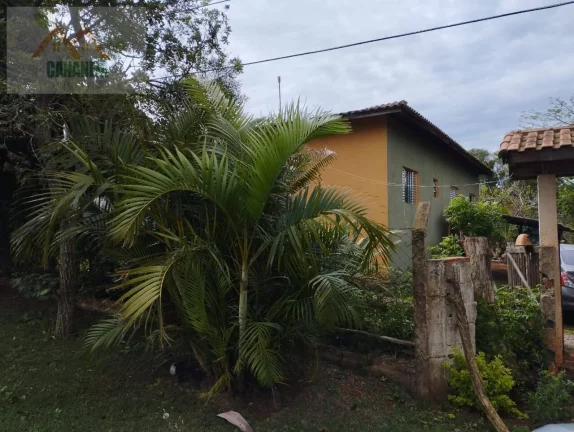 Imagem CHÁCARA CANANÉIA
