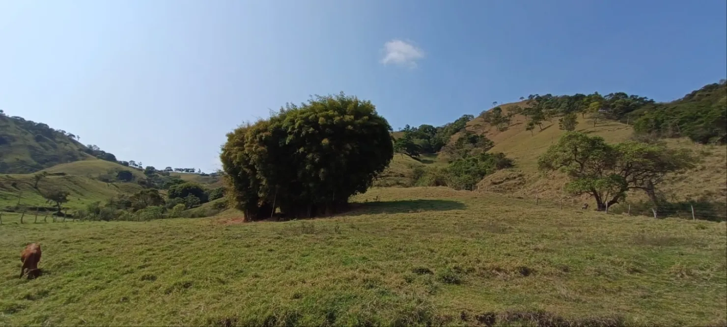 Imagem Chácara à venda 580800M², Centro, Cunha - SP