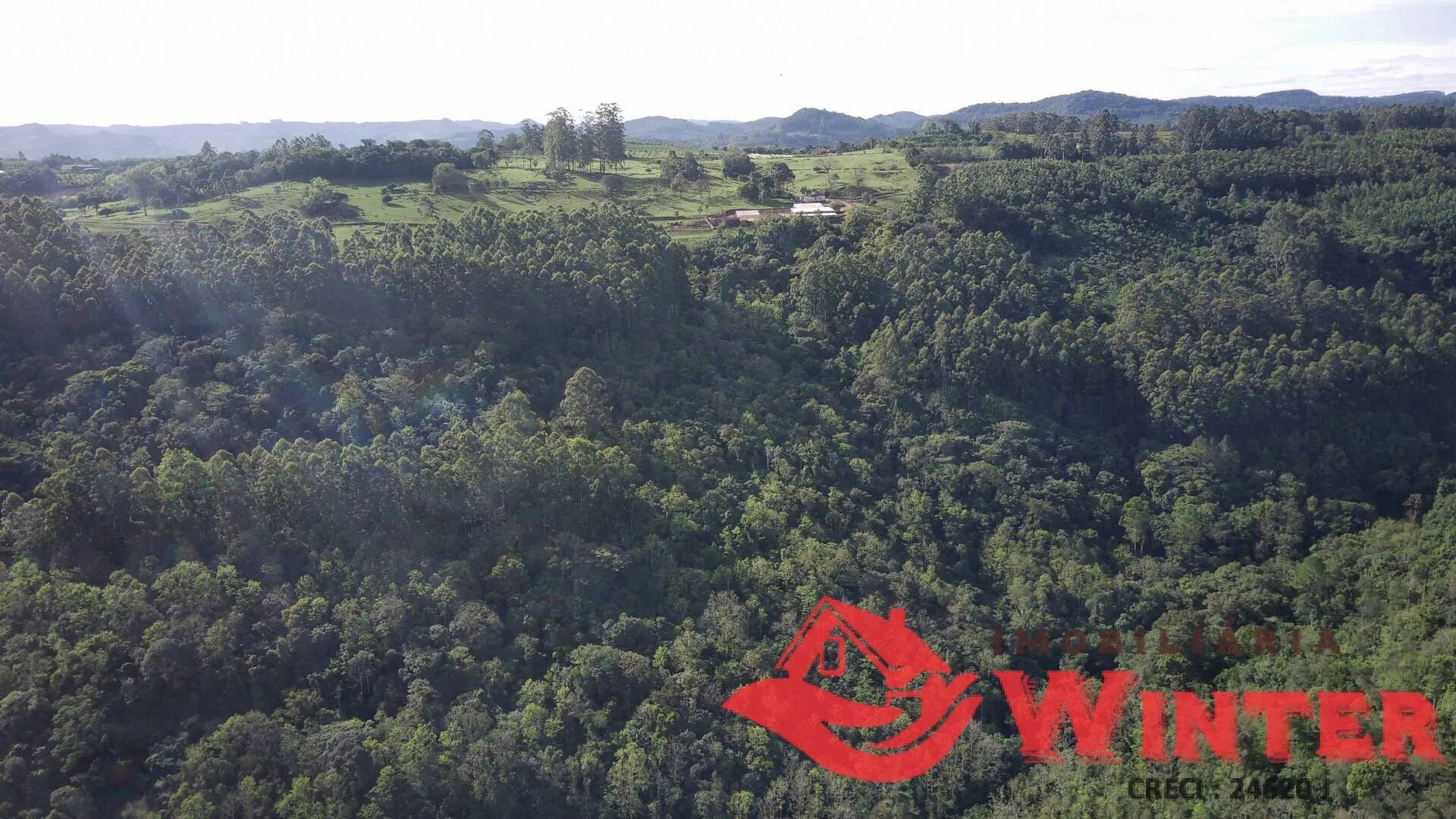 Imagem Área de terras com 7,25 hectares em Morro Grande, Linha Nova.