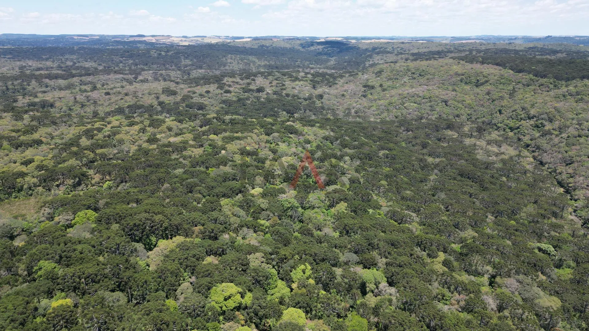 Imagem CHACARA A VENDA NO DISTRITO DO GUAIRACA, GUARAPUAVA - PR