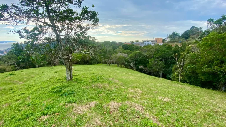 Imagem Terreno à venda em Garopaba-SC, na Praia da Silveira, com 4.908,00 m² de área! Aproveite essa oportunidade única!