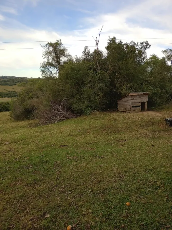 Imagem Sítio para Venda em Canguçu, zona rural, 3 dormitórios, 1 banheiro, 3 vagas