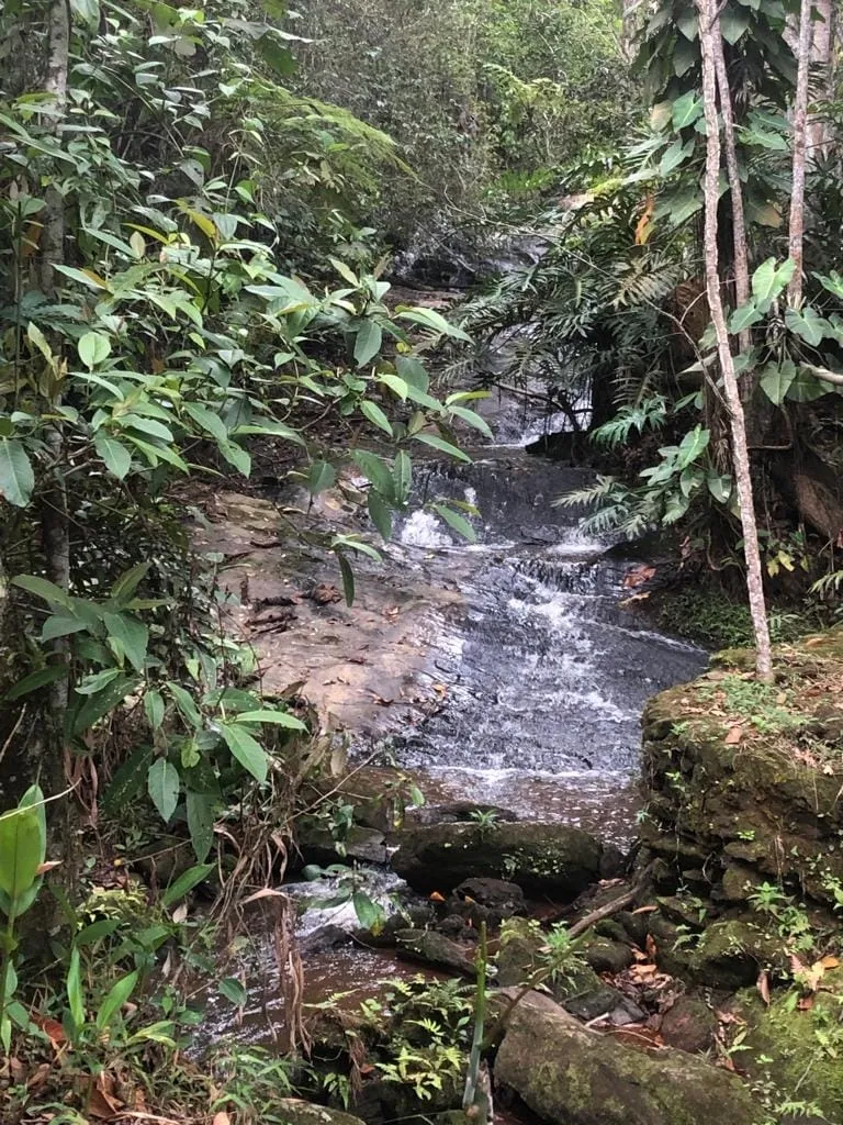 Imagem Chácara à venda 1 Quarto, 57596M², Pinga, Pindamonhangaba - SP
