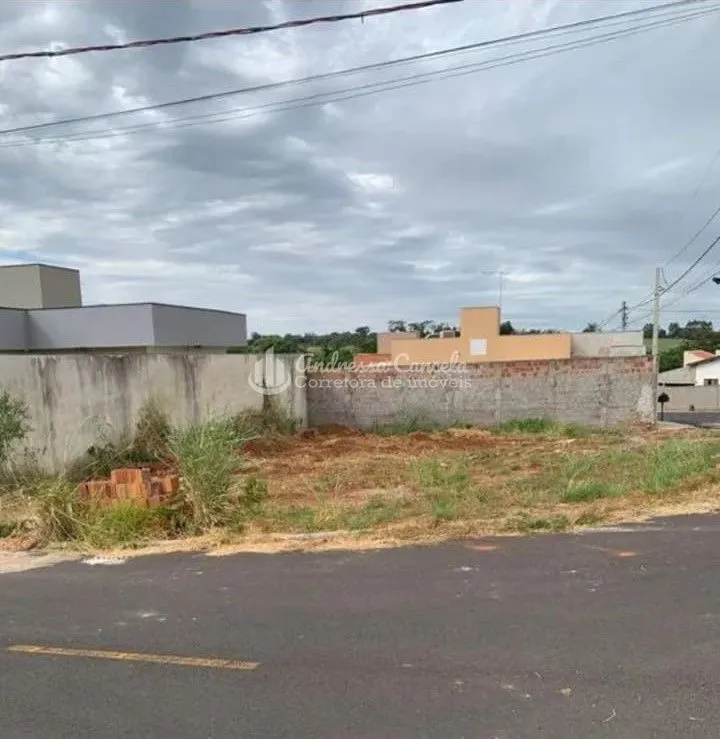 Imagem Terreno à venda, 250 m² por R$ 90.000 - Avenida Parque - Bady Bassitt/SP