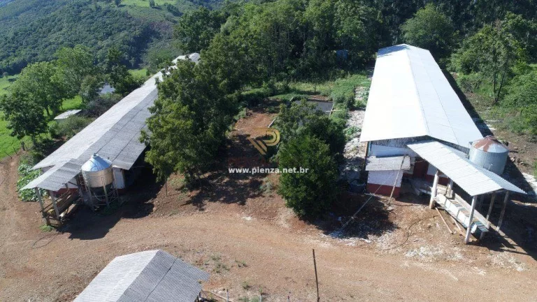 Imagem Área Agrícola para Venda em Lindóia do Sul, Rural